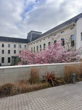 Appartement
                                                                - DOBRÉE